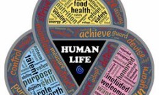 Karsa连续十场比赛得分超过逆转，C9挑战极限！